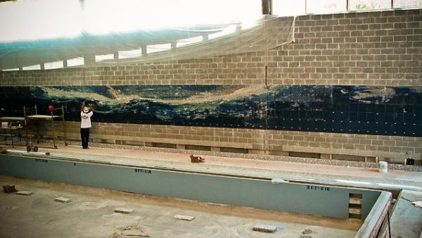 Artaic Custom Mosaic Iowa State Pool