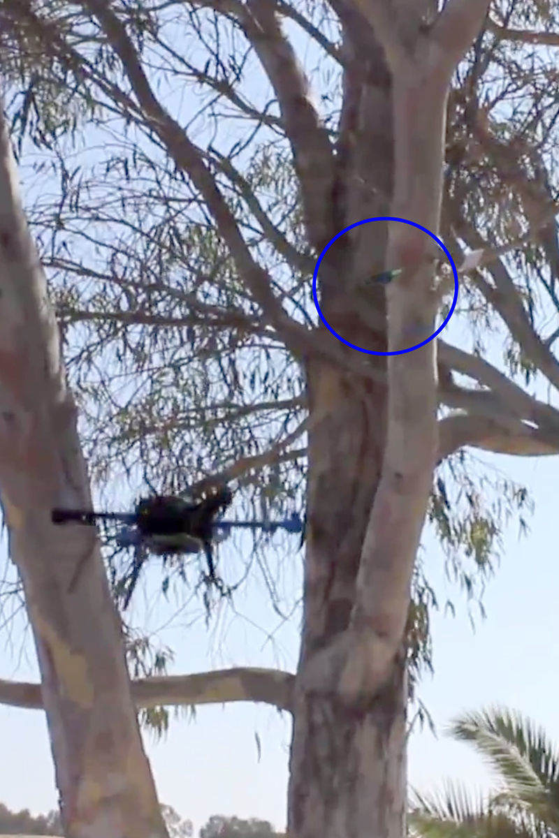 Drone reading sensor tag in tree