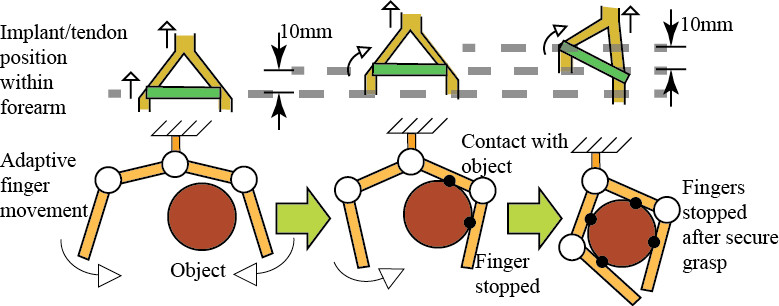 Meka Robotics Hand Implantable adaptive grasping mechanism