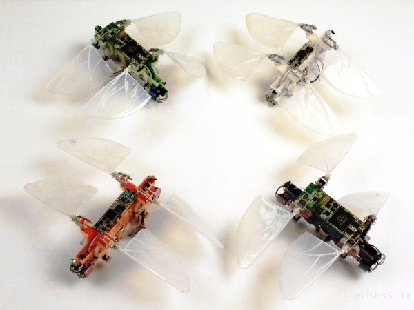 Robot Dragonfly by TechJect