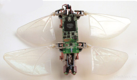 Robot Dragonfly by TechJect