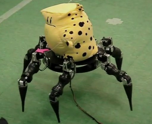 Misc. Robot by Dennis Hong