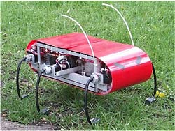 Early RHEX Prototype