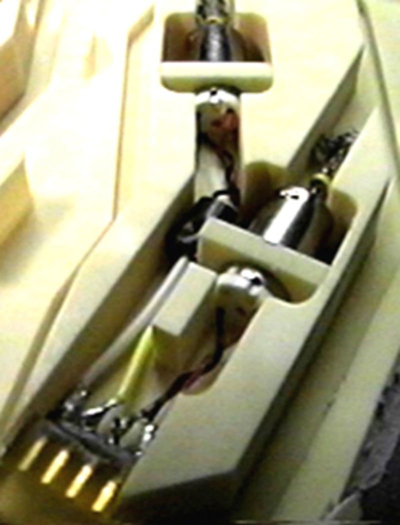 Jorge Cham's twisted string actuator-based finger