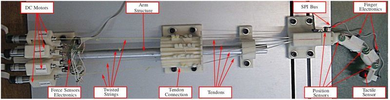 Twisted String actuator hand from Dexmart