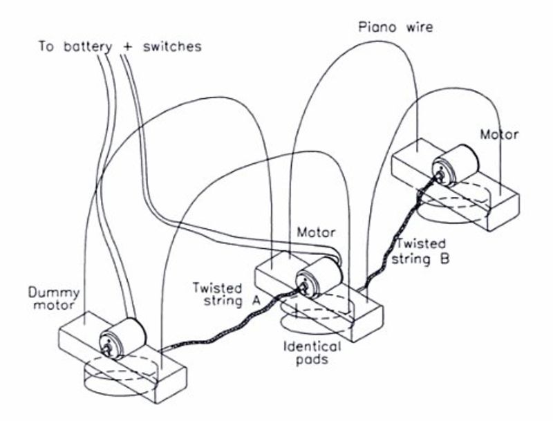 Twisted String Actuator for Children's "Worm" robot